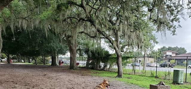 Downey Dog Park