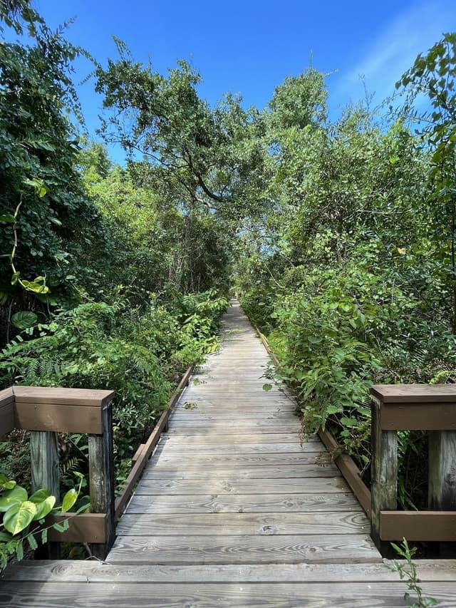 Ais Trail Park