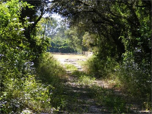 Ferndale Preserve