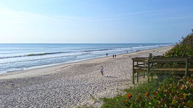 Canova Beach Park