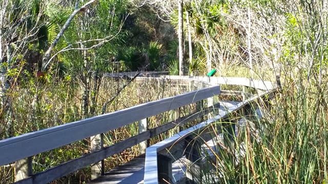Erna Nixon Park