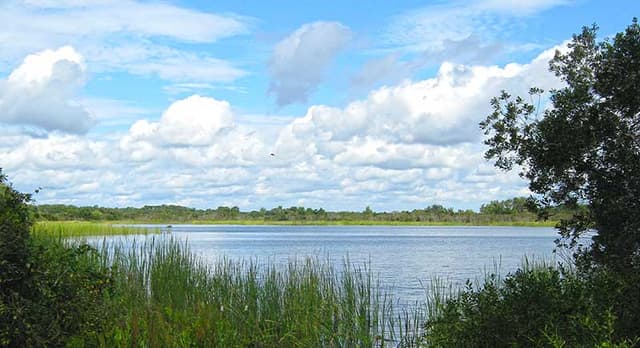 Fox Lake Sanctuary