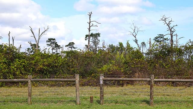Indian Mound Station Sanctuary