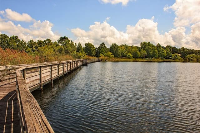 Cardinal Cove