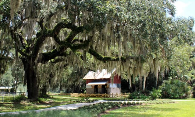 Beck Ranch Park