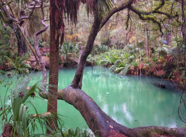 Green Springs Park