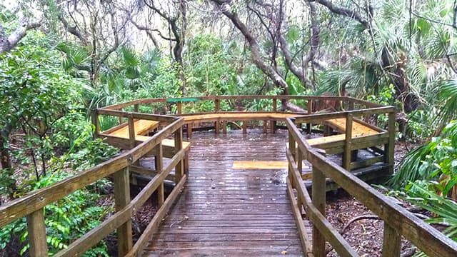 Lori Wilson Park