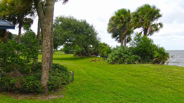 Nicol Park