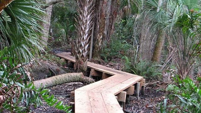 Pine Island Conservation Area