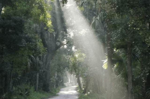 Bulow Sugar Plantation Ruins