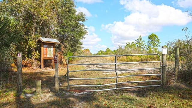 Scottsmoor Flatwoods Sanctuary East