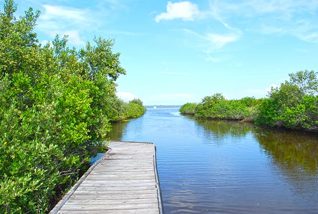 Scottsmoor Landing