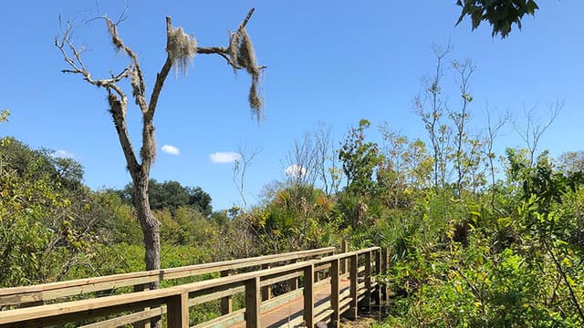 Wuesthoff Park