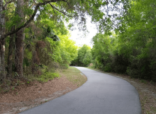 Lake Beresford Park