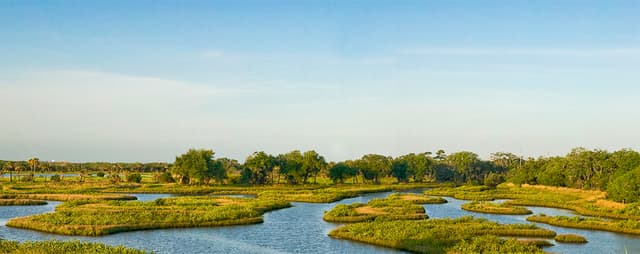 Cockroach Bay Nature Preserve