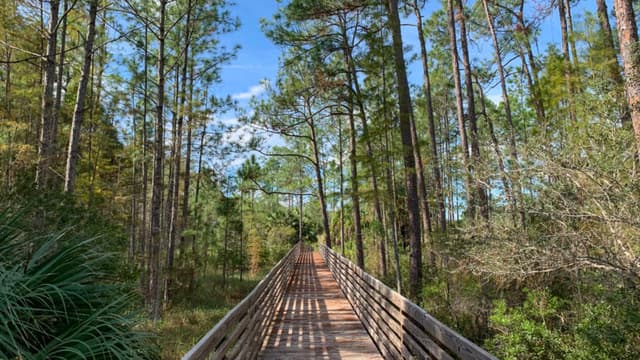 Cypress Creek Nature Preserve