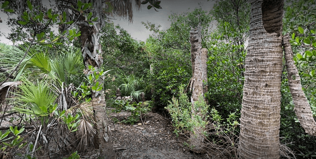 Diamondback Nature Preserve