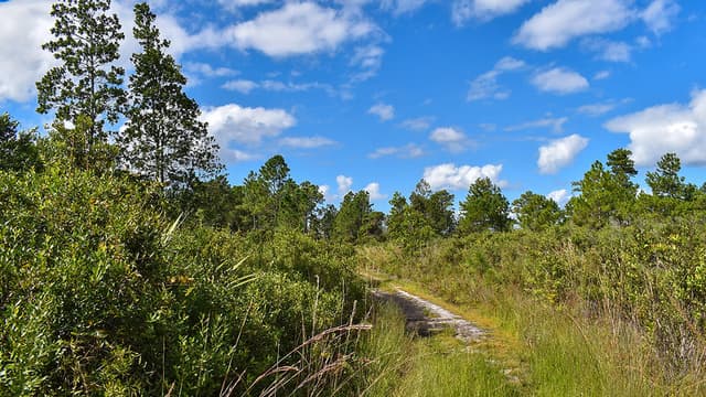 Hidden Pond Preserve