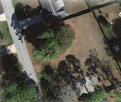 Umbrella Tree Park
