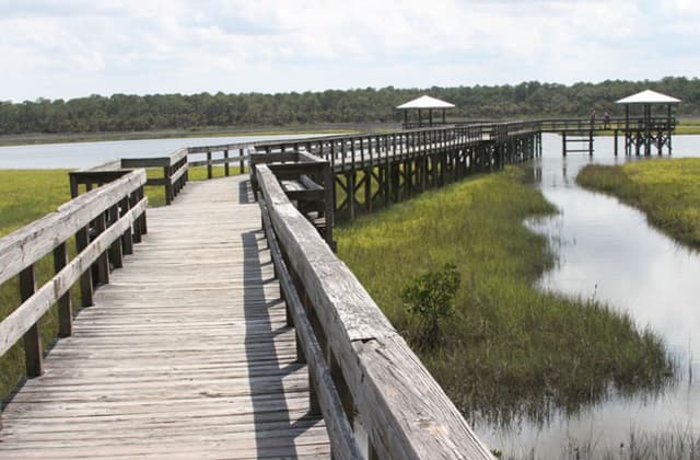 Doris Leeper Spruce Creek Preserve