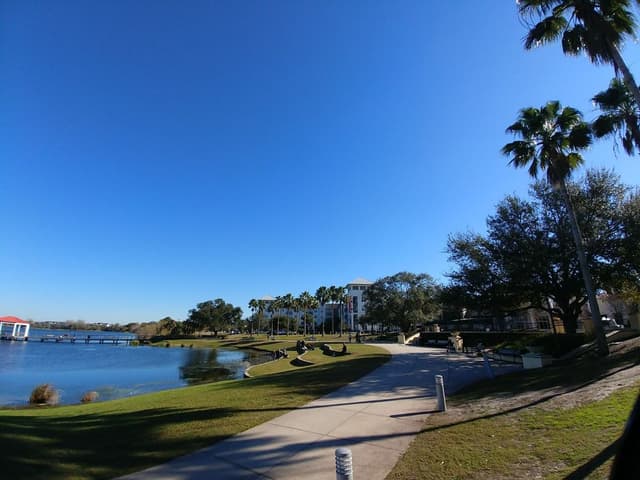 Harbor Park