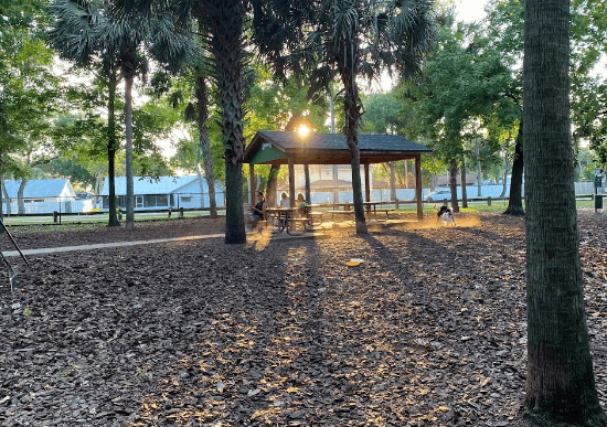 Seemore Dog Park