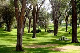 Mango Dog Park
