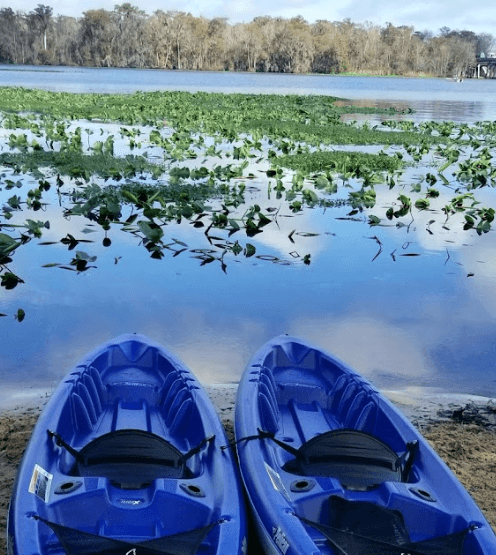 Camp Chowenwaw Park