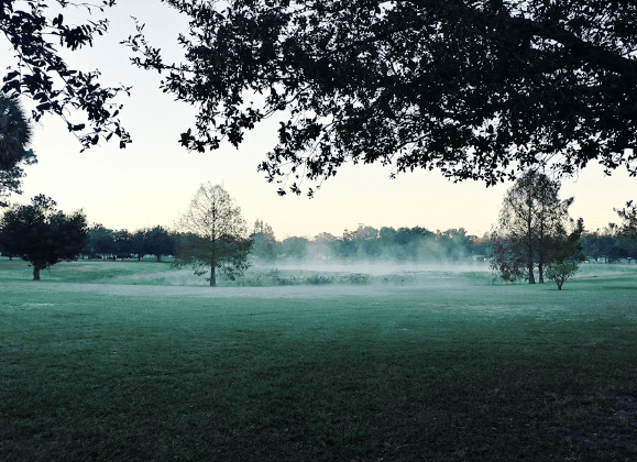 Lake Dot Park
