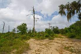 Gator Creek Reserve
