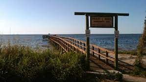 Live Oak Neighborhood Park