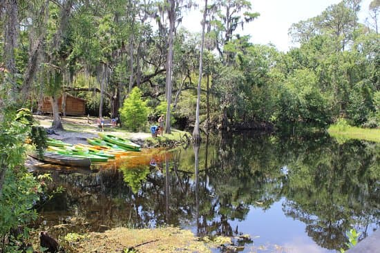 Shingle Creek