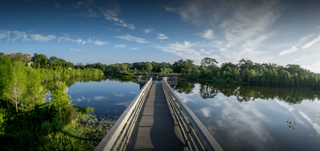 Kapok Park