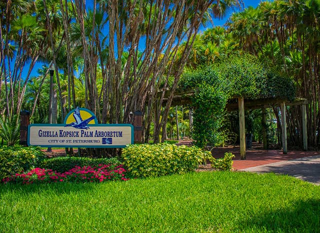 Gizella Kopsick Palm Arboretum
