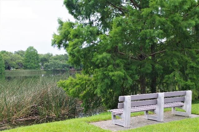 Lake Lawsona Park