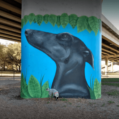 Kenwood Dog Park