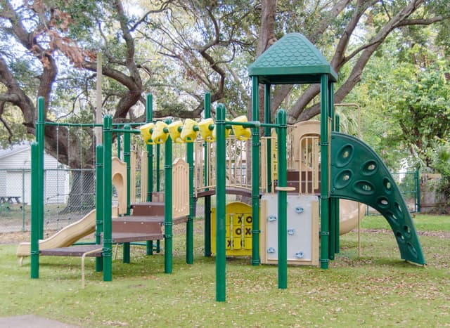 Palmetto Park