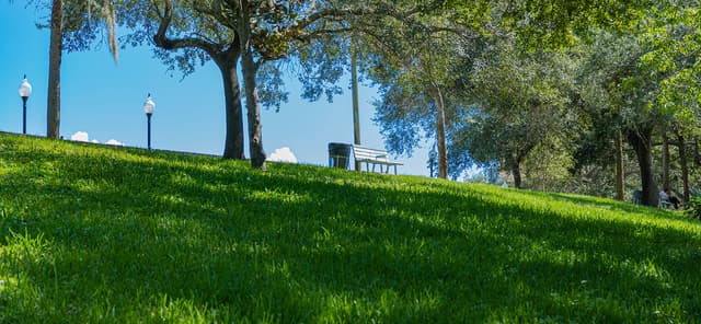 Roser Park