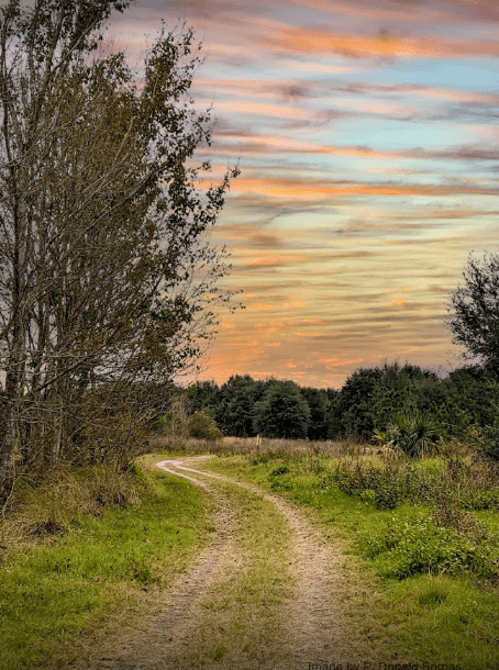 Fort Fraser Trail