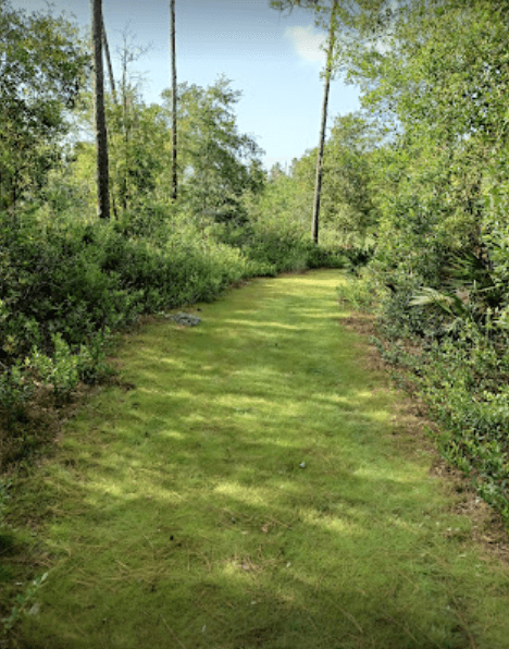 Gator Creek Reserve