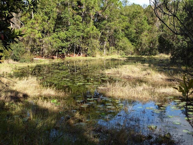 Tavares Nature Park