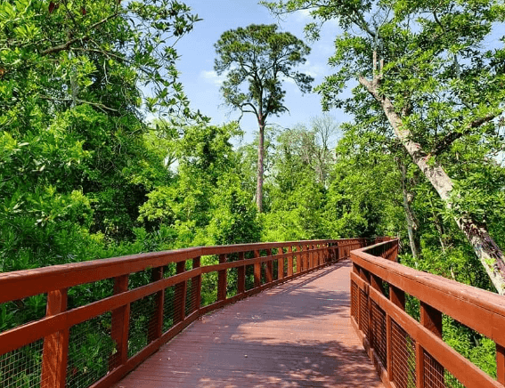 Wirz Park