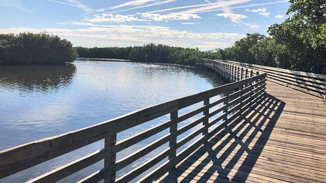 Upper Tampa Bay Conservation Park