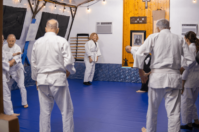 Mushin Aikido Dojo