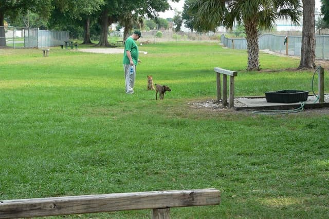 West Dog Park