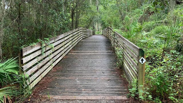 Rhodine Scrub Nature Preserve