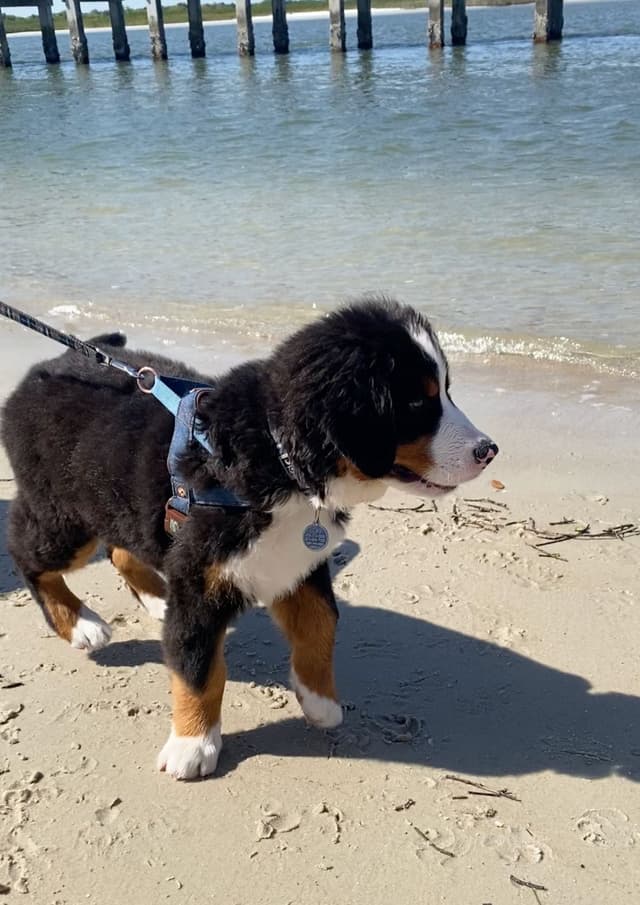 Smyrna Dunes Park