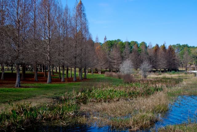 Bill Frederick Park