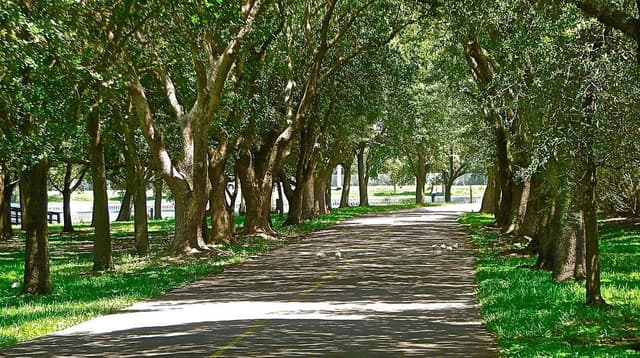 John S. Taylor Park