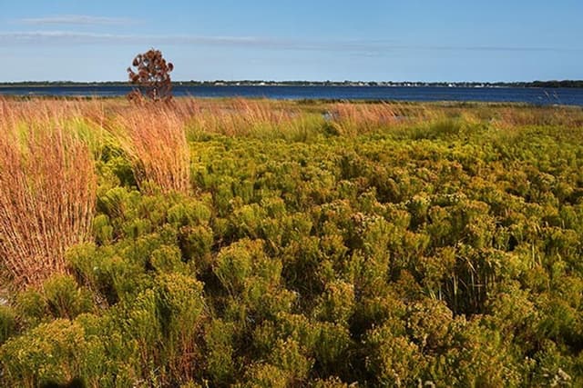 Crooked Lake Prairie